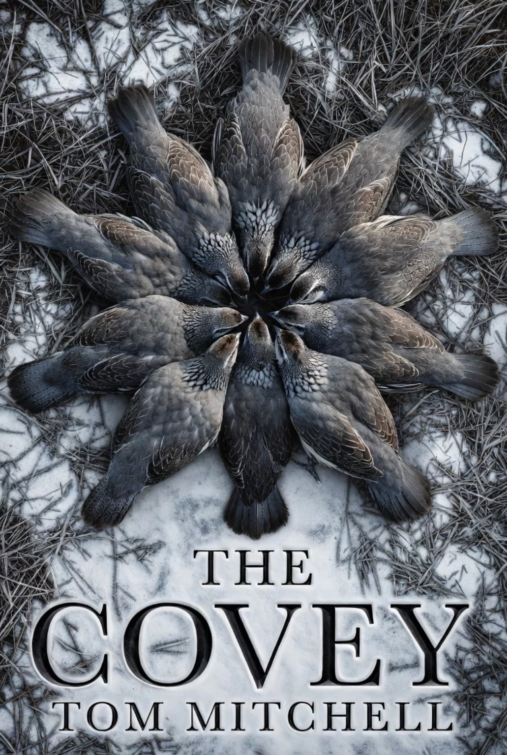 The Covey cover